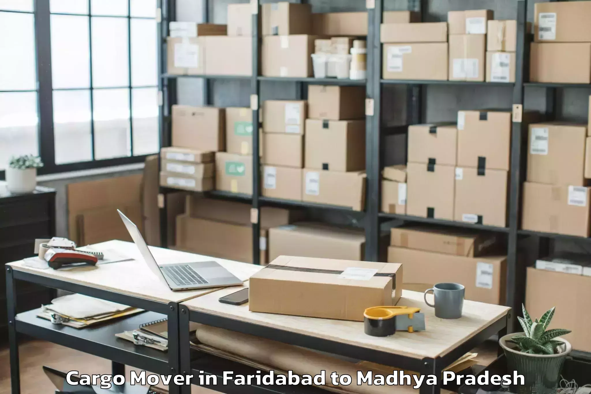 Book Faridabad to Biaora Cargo Mover